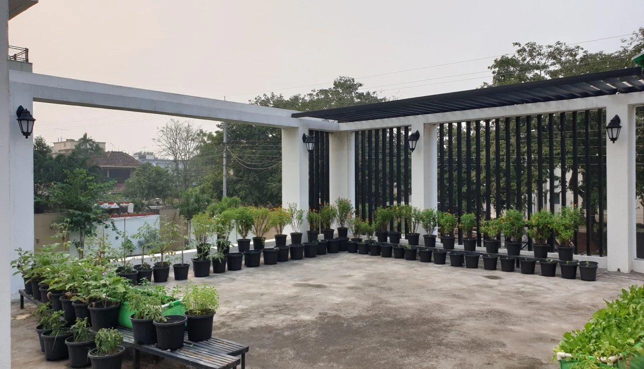 Terrace with potted plants and vertical screening, Bungalow 19B turnkey residential interior design in Bhilai by Mustardd Spaces